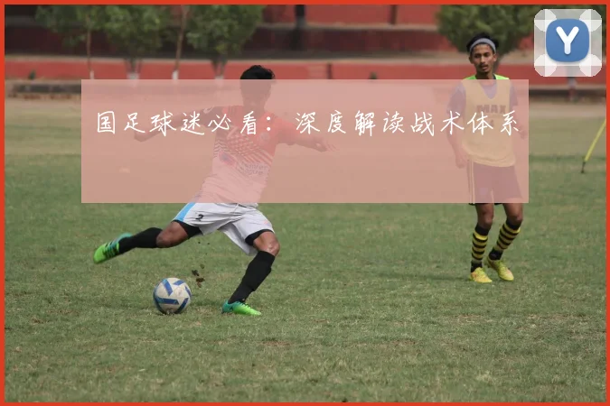 国足球迷必看:深度解读战术体系