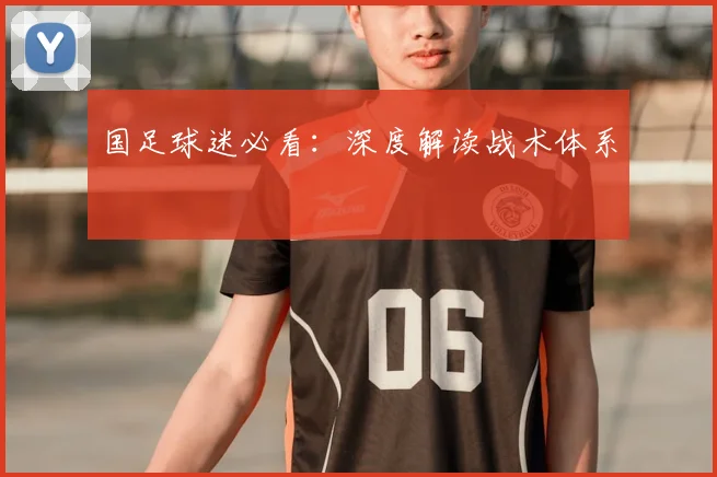 国足球迷必看：深度解读战术体系