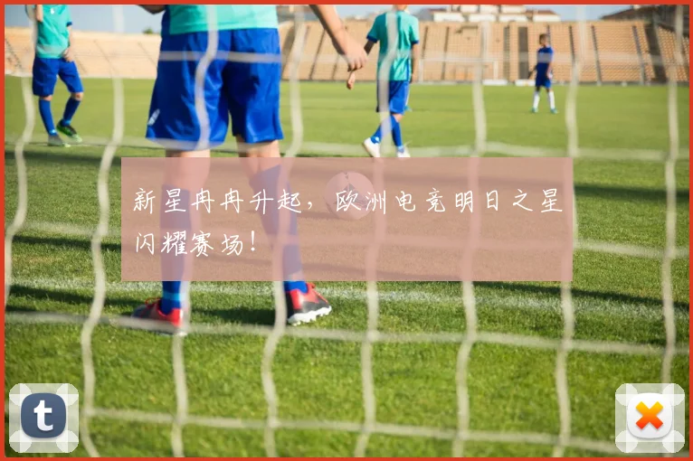 新星冉冉升起,欧洲电竞明日之星闪耀赛场!